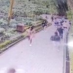 Kunjungi Desa Wisata Jatiluwih, Menpar Apresiasi Penerapan Pariwisata Berkelanjutan