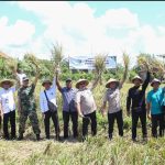 ITDC Perkuat Komitmen Pariwisata Hijau Melalui InJourney Green